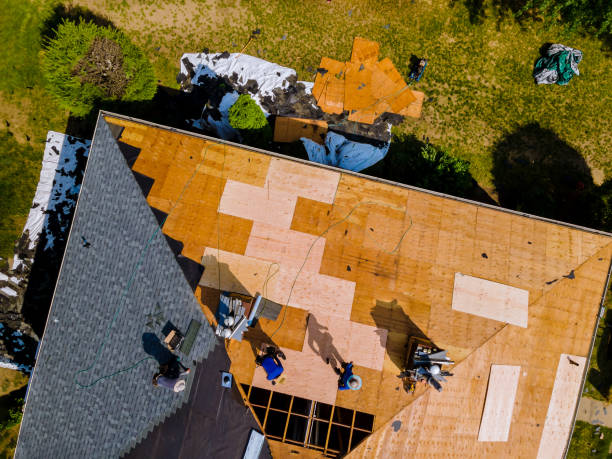 Best Metal Roofing Contractor  in Cadillac, MI
