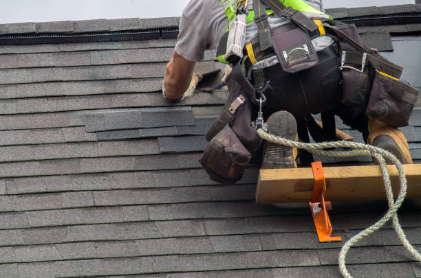 Best Roof Gutter Cleaning  in Cadillac, MI